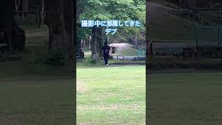 撮影中に邪魔してきた老害デブを晒したったw