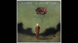 Hidden In Plain View- The Point