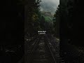 Aurora Run Away Song Lyrics WhatsApp Status English Song Viralvideo Trendingshorts Viral