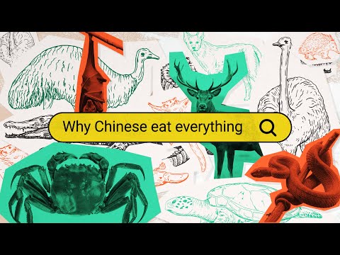 為什麼中國人似乎 "什麼都吃"？- 為什麼中國人(E1) (Why Do Chinese People Seem to Eat 'Everything'? - Why Chinese (E1))