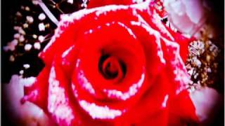 Rigo Luna-Si Tu Te Vas