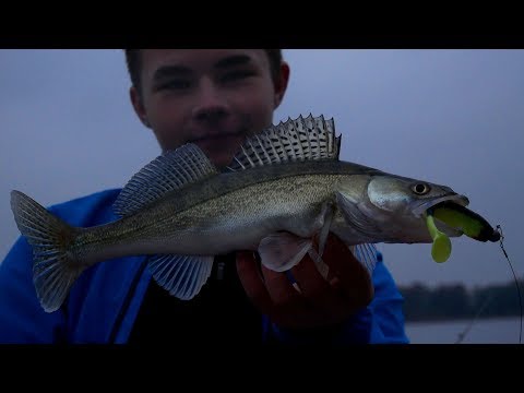 Rekonesans Nad Jeziorem (Video Relacja)  - Wędkarskie Weekendy #3