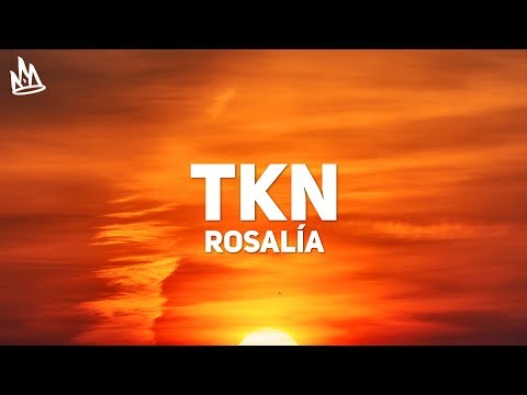 ROSALIA - TKN (Letra / Lyrics) ft. Travis Scott