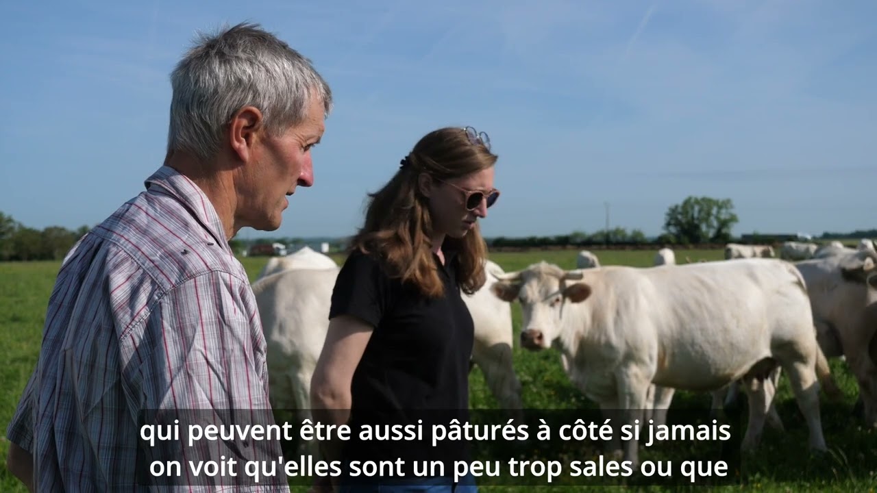 Cap Protéines - François Dubois cultive l'autonomie protéique à la ferme