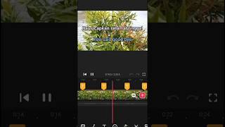 Download lagu Lirik dan Terjemahan Boulevard Bahasa Indonesia mp3 Download lagu Lirik dan Terjemahan Boulevard Bahasa Indonesia mp3
