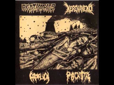 KERENANEKO  from split cd w/Agathocles/Prosuck/Rvota