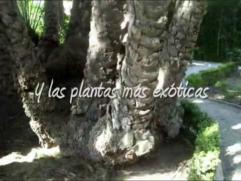 De botanische tuin van Valencia