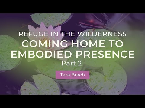 Refuge in the Wilderness: Coming Home to Embodied Presence with Tara Brach (Part 2)