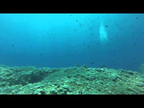 Mrkan Reef Diving Dubrovnik