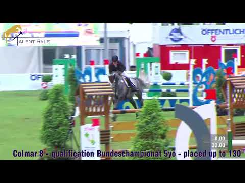 61 colt by Forsyth - Clapton