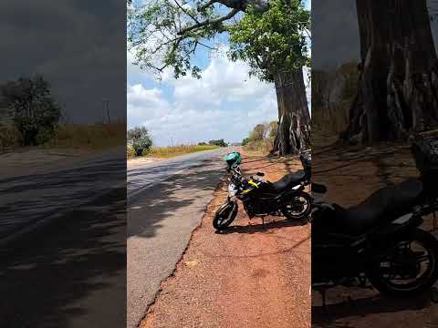 BR-316, próximo ao povoado Livramento em Peritoró-MA.