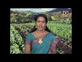 PON VILAIYUM BHOOMI AGRI ADVISORIES NOTES 25 02 2020