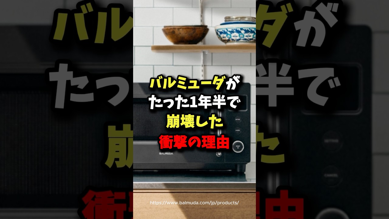 バルミューダがたった1年半で崩壊した衝撃の理由 #雑学