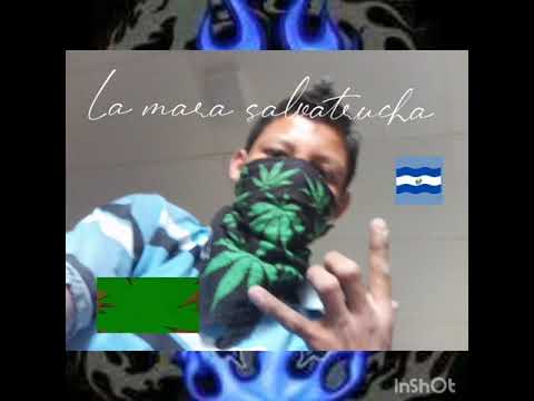 va la mara maje akerman gomez