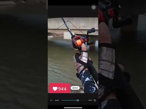 ~子甄彣璟~入門款雙煞車 新手入門 防炸線水滴輪 剎車力 路亞水滴輪 魚線輪 海竿輪 小烏龜 海釣 釣魚 捲線器