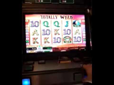 Totally Wild - Freispiele - Novoline