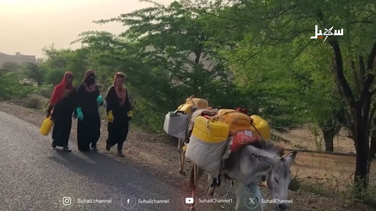 المهاجل الشعبية .. ألحان الحقول المهددة بالأفول