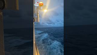 Cruise ship 🛳️😍#merchantnavy#cruise ship