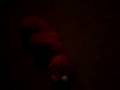 Tickle Me Elmo 1