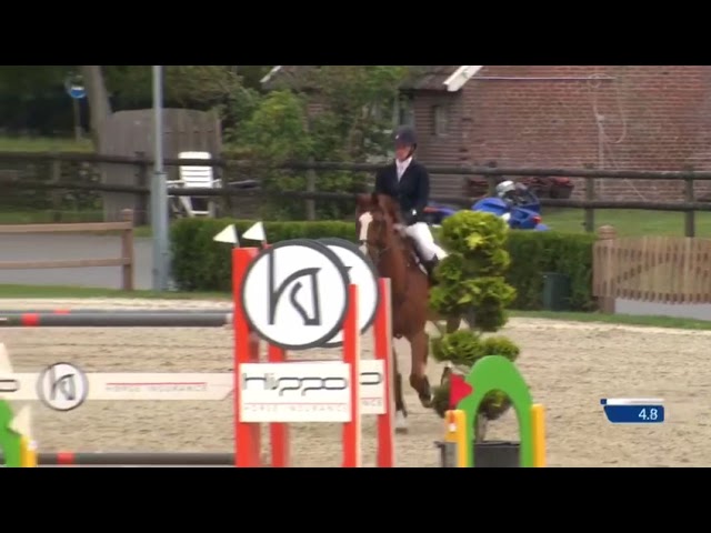 Mother I'm Special Power SIH jumping a 1.35m class with rider Nicole Eggens.