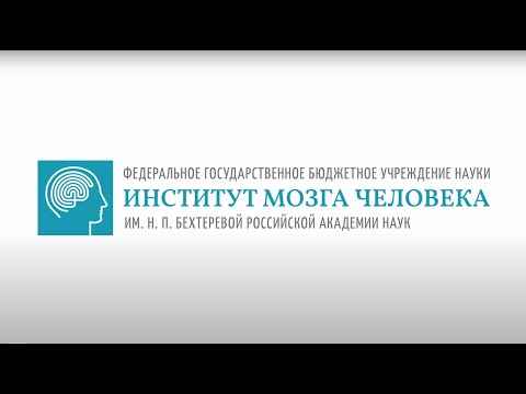 Институт мозга в санкт-петербурге им бехтерева. Бехтеревой (санкт-петербург). Бехтерева научный руководитель института мозга человека. Академик ран институт мозга. Институт мозга им бехтеревой ран.