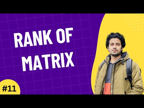 01 The Importance of Linear Algebra in AI Machine Learning Data Science Bangla