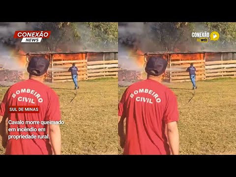Vídeo: Cavalo morre queimado em incêndio em propriedade rural.