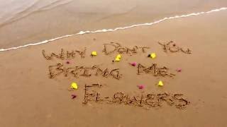 Roxette Fan Video   why don&#39;t you bring me flowers