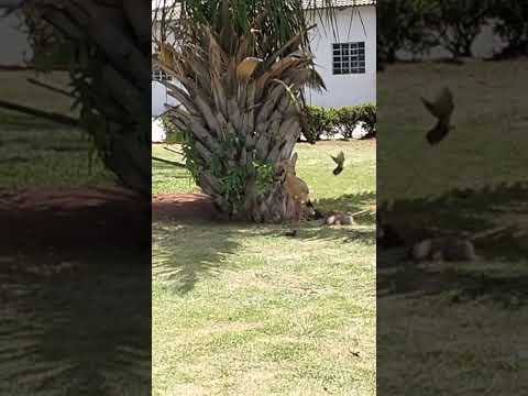 Praça do Rio Quente, Goiás