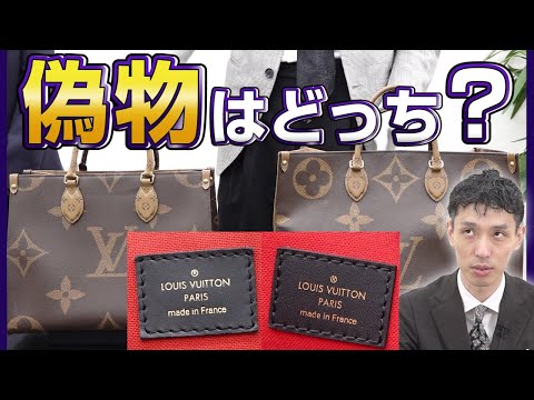 Biton (属)について詳しく解説