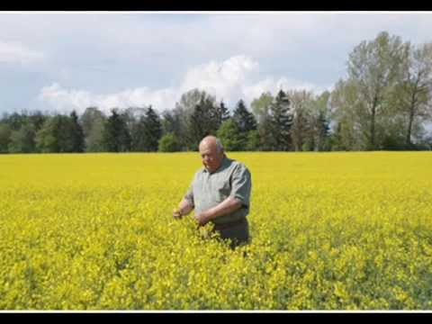 SHM & skolss - Rzepakowy song prod Piotras