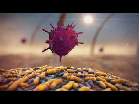 Your skin microbiome protects you from pathogens - YouTube