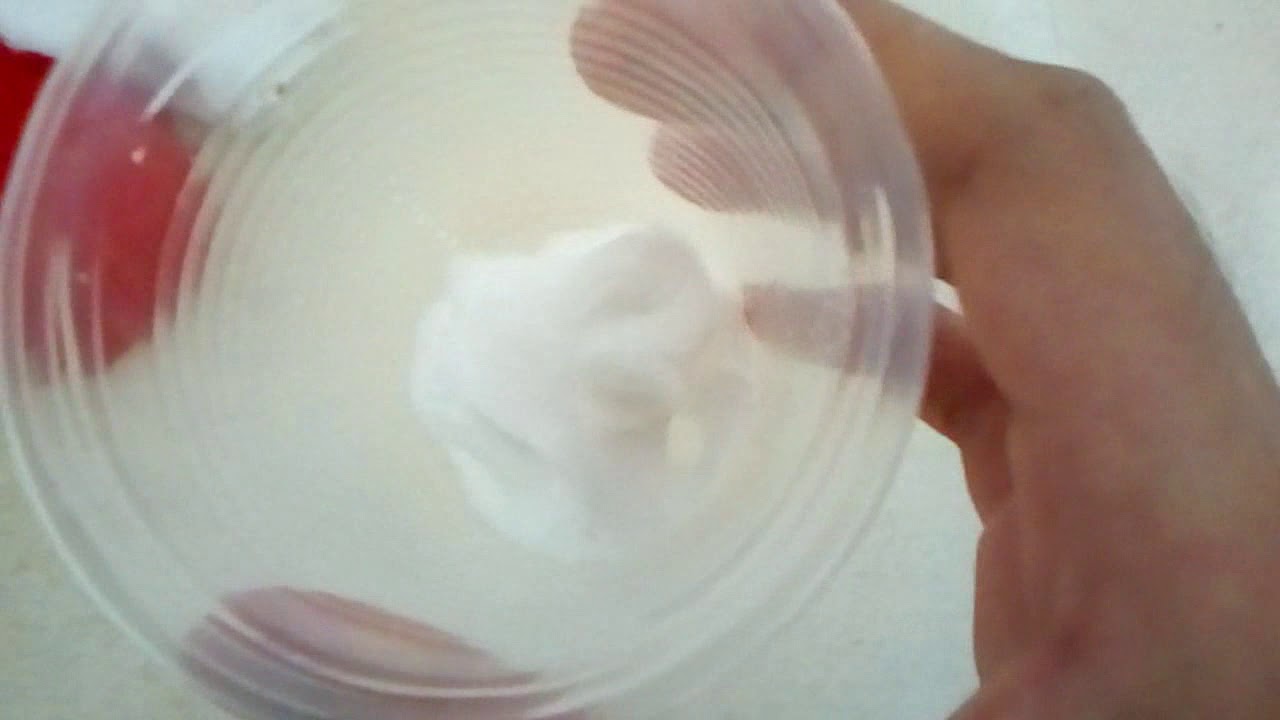 Germinación de una semilla en un vaso con algodón | Biofeliz | Los Bioguapitos
