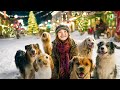 She Unites The City To Support Stray Dogs During Christmas Time Full Christmas Movie In English