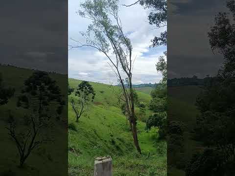 CASARÃO CENTENÁRIO EM MUZAMBINHO MINAS GERAIS