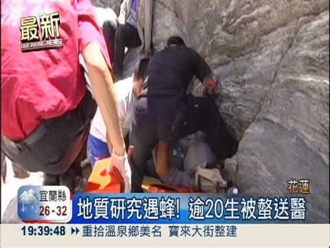 地質研究遇蜂螫 逾20師生送醫!