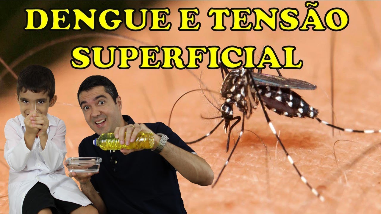 COMO ACABAR COM O MOSQUITO DA DENGUE!