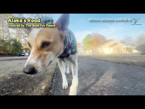 Aloka's Road (Official)