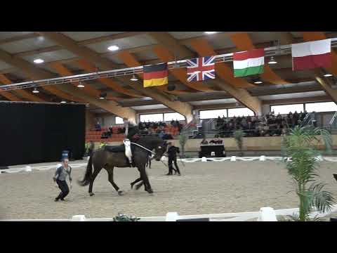 Team SVEA Junior Freestyle