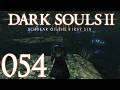 Dark Souls 2 [054] - Schrein des Hasses