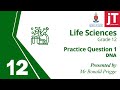 2 Gr 12 Life Sciences DNA Practice Question 1