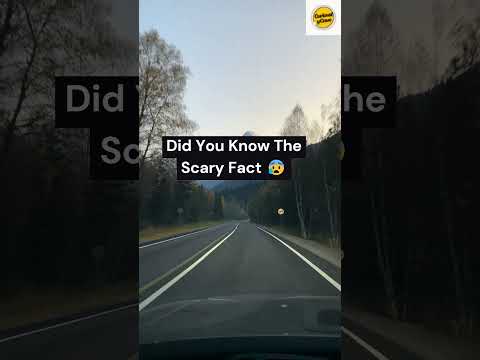 Veronica | The Terrifying True Story Behind the Most Chilling Movie Ever