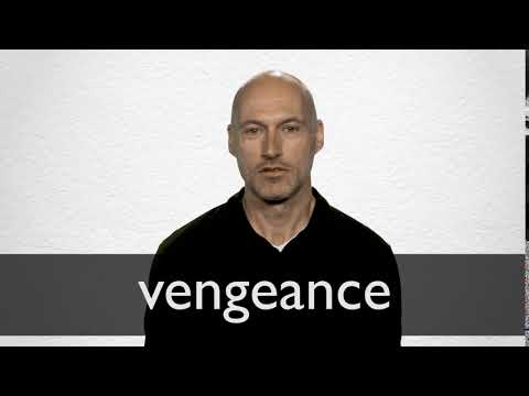 VENGEANCE : MEANING & USE 