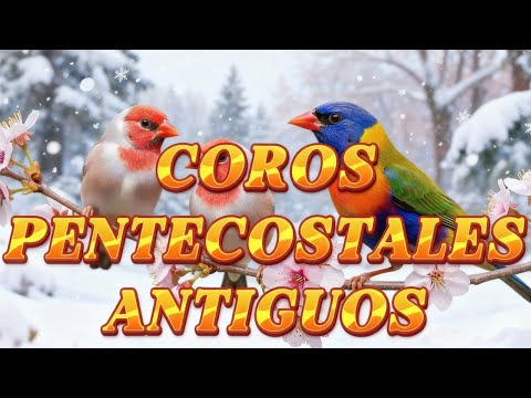 COROS VIEJITOS PERO BONITOS - COROS PENTECOSTALES - MAS DE 100 COROS AVIVAMIENTO PENTECOSTAL