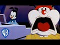 Animaniacs Another Burpee Song Classic Cartoon WB Kids