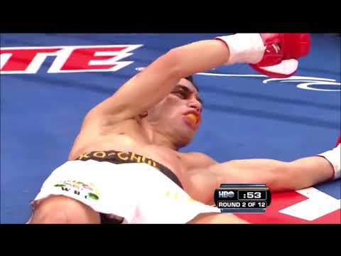 Nonito Donaire vs Fernando Montiel Full Highlights