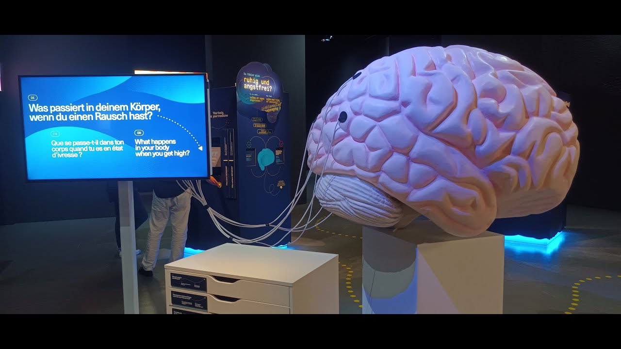 A tourist embarks on a journey through Bern's Historical Museum.