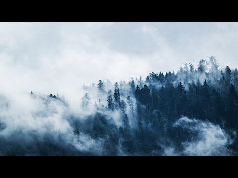 Kateryna Voroniuk - All That's Left Of Me