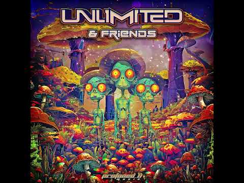 Stereoxide & Unlimited - Delayed Flight