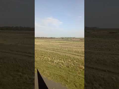 #Santa Catalina #córdoba #ruta8 #argentina #campo #plantaciones